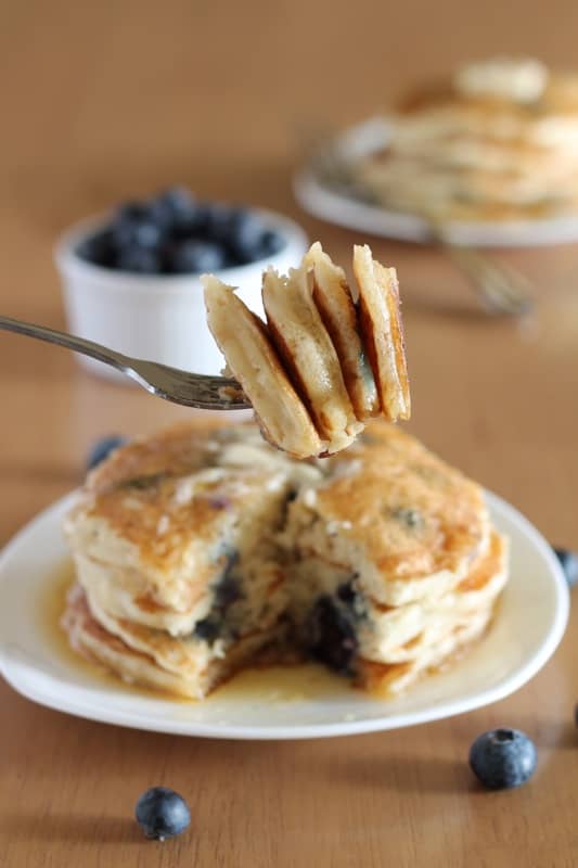 Blueberry Pancakes Long Bite