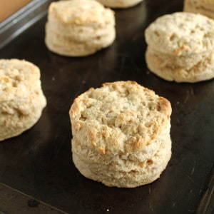 Fluffy Biscuits–Vegan Style